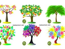 Test viral: el árbol que elijas de la imagen revelará un dato importante de tu vida