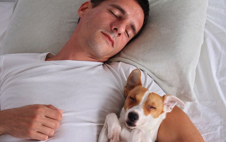 Colecho animal: ¿es saludable dormir con las mascotas?