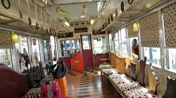 Dolor en Japón por la muerte de la gata que era jefa de una estación del tren