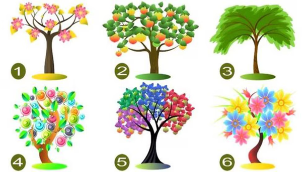Las principales cualidades de tu personalidad según el árbol que elijas