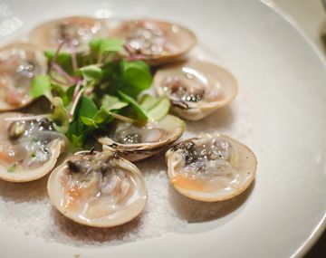 Con olor a mar: se viene Madryn al Plato