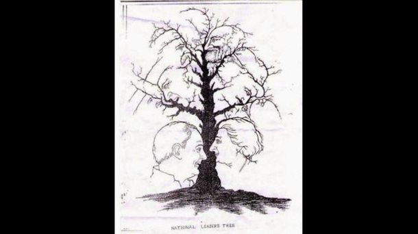 Nuevo reto: ¿cuántas caras puedes ver en este árbol?