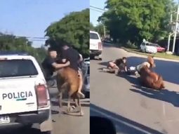 insolita persecucion en quilmes: detuvieron a dos jovenes que estaban robando a caballo insolita persecucion en quilmes: detuvieron a dos jovenes que estaban robando a caballo