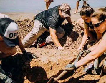 Encontraron dos gliptodontes de tres millones de años en una playa