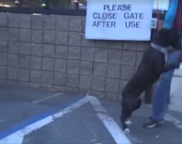 Perro se vuelve loco cuando lo adoptan