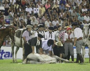 Muere otra yegua en el Festival de Doma de Jesús María