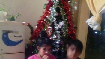 Un nene pidió un árbol de Navidad por Facebook. Un nene pidió un árbol de Navidad por Facebook.