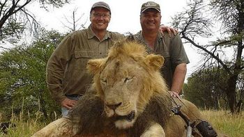 las autoridades de ee.uu. buscan a palmer por la muerte del leon cecil las autoridades de ee.uu. buscan a palmer por la muerte del leon cecil