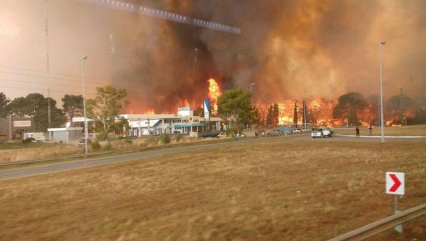 Voraz incendio en los bosques de Cariló y Valeria del Mar
