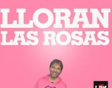 Mirá los afiches de River campeón