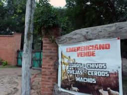 Caso Cecilia: imputado por encubrimiento dijo que abogado le pidió plantar pistas