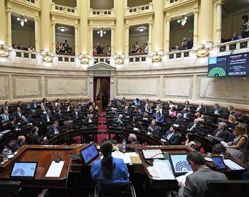 El Senado discute la ley antitarifazo: se espera un largo debate