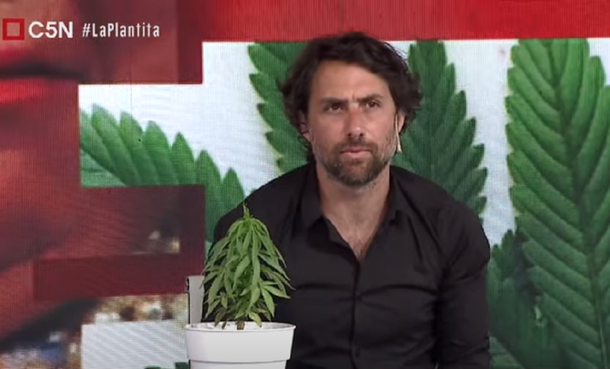 Autocultivo de cannabis medicinal: así presentaron la plantita en C5N