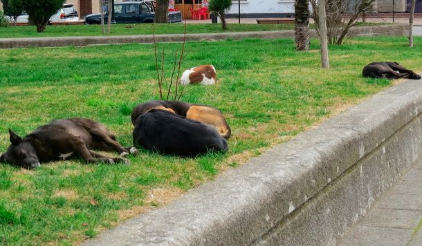 El hombre quedó detenido