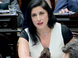 Juliana Santillán inventó un número y desató burlas en Diputados y en las redes.