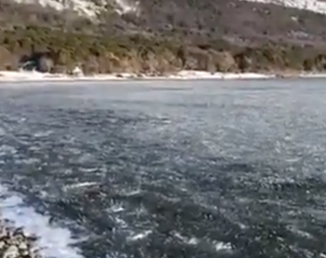 VIDEO: Olas de hielo en el Canal de Beagle 