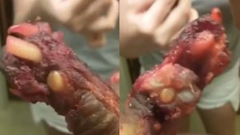 una mujer denuncio que pidio costillitas de cerdo y le trajeron patas de perro una mujer denuncio que pidio costillitas de cerdo y le trajeron patas de perro