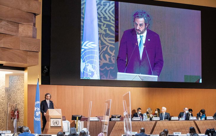 Argentina en ONU: Es imperioso que Rusia cese uso de la fuerza