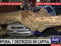 VIDEO: Así terminó un auto por la caída de un árbol en Belgrano