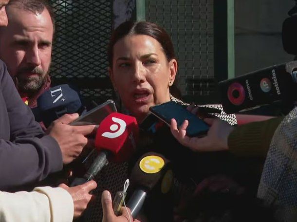 La abogada de Alberto Fernández