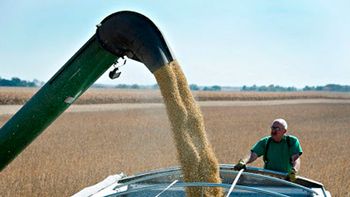 suspenden a monsanto por evasion de us$ 70 millones suspenden a monsanto por evasion de us$ 70 millones