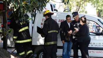 temo por mi vida porque este bicho esta suelto temo por mi vida porque este bicho esta suelto