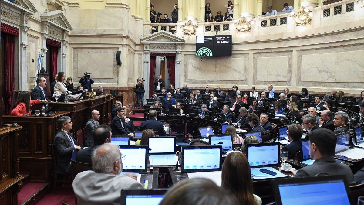 Comenzó el debate de la Ley Bases en el Senado: polémica por el texto que envió Diputados