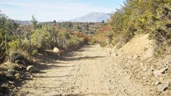 Torso esquel Torso esquel