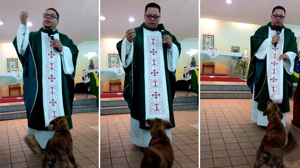 VIDEO: mirá al perro cristiano que interrumpe una misa para jugar con el cura