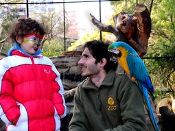 vacaciones en el zoo de buenos aires, una opcion para los chicos vacaciones en el zoo de buenos aires, una opcion para los chicos