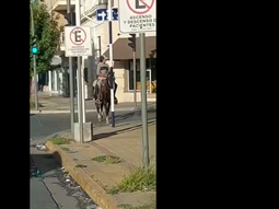Se fue a cortar el pelo y estacionó al caballo en la puerta del local