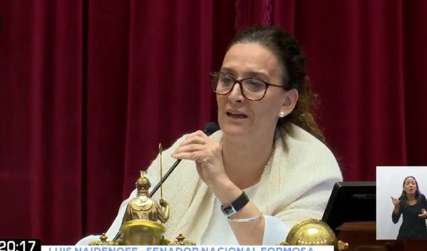 Otro exabrupto de Michetti en plena sesión por el aborto: Es un pel....