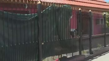 denuncian que una chica de 16 anos mato a punaladas su novio de 19 en remedios de escalada denuncian que una chica de 16 anos mato a punaladas su novio de 19 en remedios de escalada