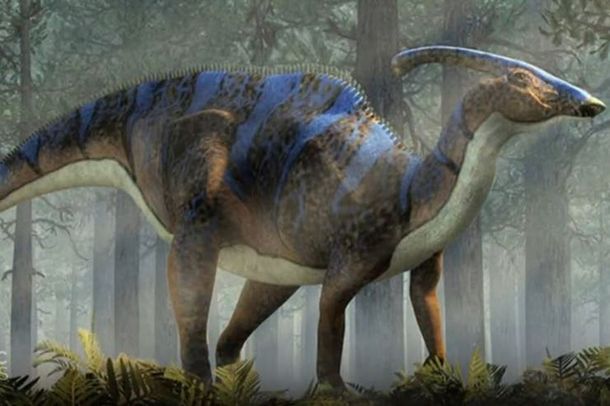 Canadá: un chico salió de excursión y descubrió un dinosaurio de 69 millones de años