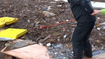 el rescate de un perro durante el temporal el rescate de un perro durante el temporal