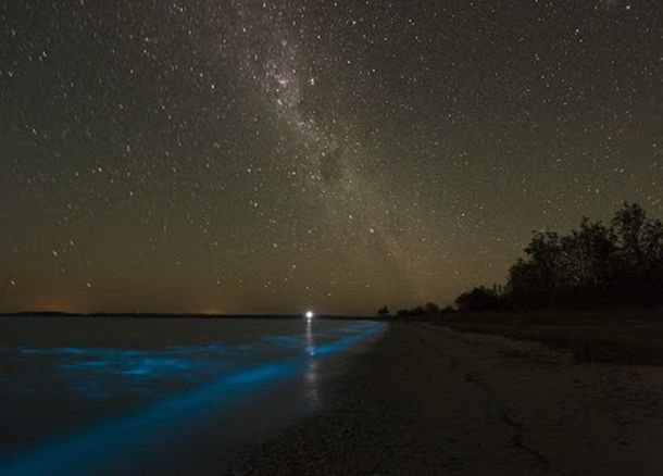 La excepcional laguna bioluminiscente de Puerto Rico se apagó
