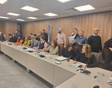 Diputados: la oposición avanza para declarar la emergencia del Hospital Garrahan