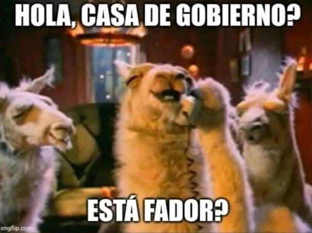 Los mejores memes y reacciones por el escándalo por presuntas coimas en la ANDIS