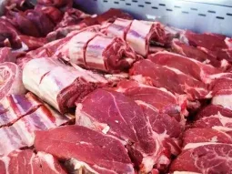 Intendente provincial anunció un plan de carne para fin de año