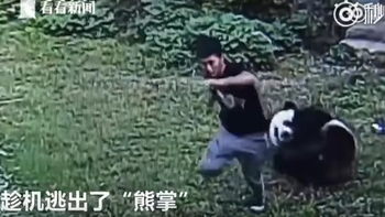 Ocurrió en un zoológico de China, luego de que el hombre se metiera a la fuerza en la jaula del animal Ocurrió en un zoológico de China, luego de que el hombre se metiera a la fuerza en la jaula del animal