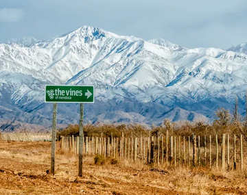 Los Chacayes es perfecto para probar vinos y realizar diferentes actividades en pleno contacto con la naturaleza.&nbsp;