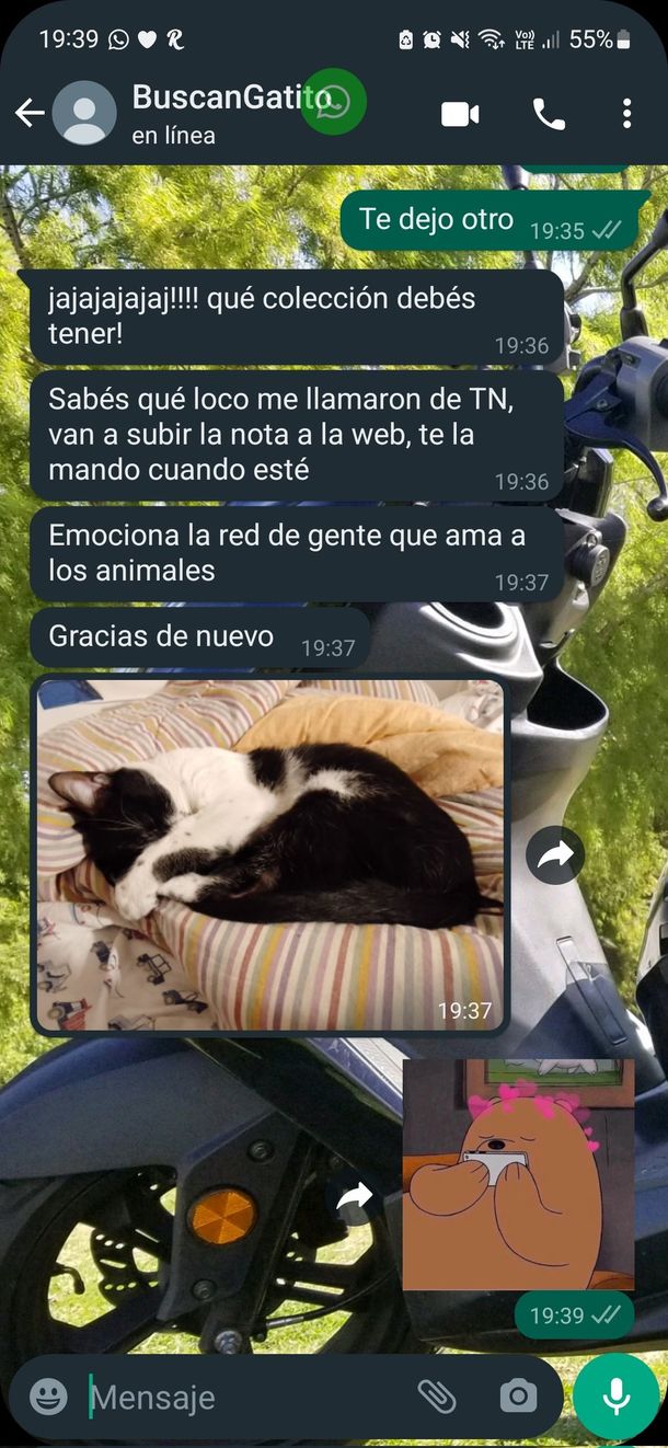 "La pu***, al parecer un nene perdió un gatito en Almagro e hizo todos los carteles a mano dibujándolo": La historia viral con final feliz