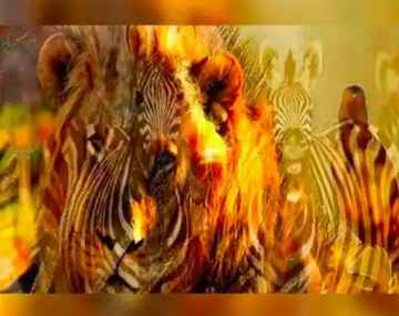 Descubre aspectos de tu personalidad según lo primero que veas en la imagen.