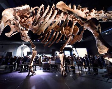 El Titanosauri, el dinosaurio más grande del mundo