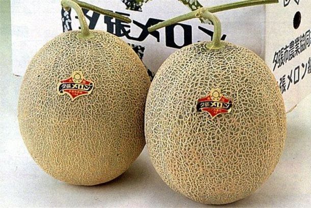 Los melones más caros del mundo: vendidos en una subasta por 24.500 euros