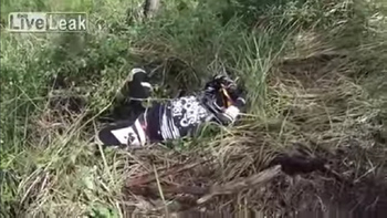 tras chocar cayo al lado de una serpiente tras chocar cayo al lado de una serpiente