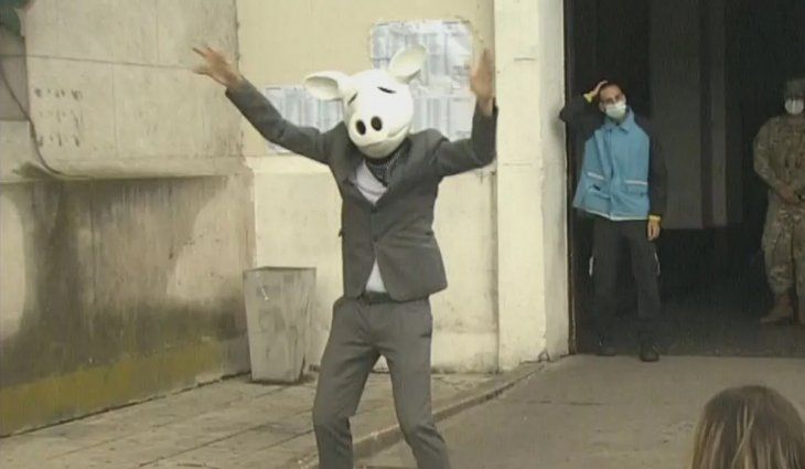 El Chancho Bailarín que apareció en la Facultad de Derecho donde votó Rodríguez Larreta
