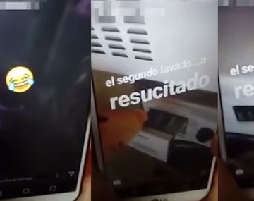 España: una mujer centrifugó a su gato y lo mató