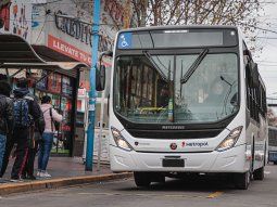 Paro de colectivos: a qué líneas afecta este jueves