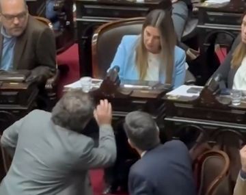 Así le gritaba Ritondo a Lospennato en plena sesión por votar contra el veto de Milei